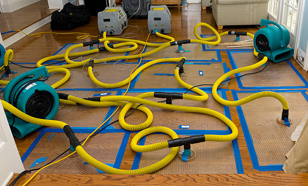 Professional Flood Damage Restoration technician working in Sylvester, WV