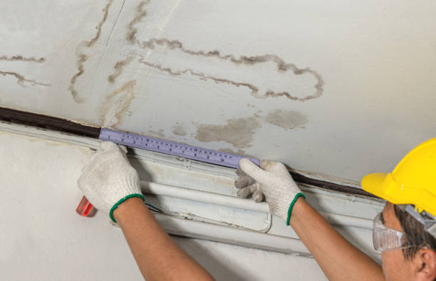 Affordable Water Damage Repair solutions in Sylvester, WV